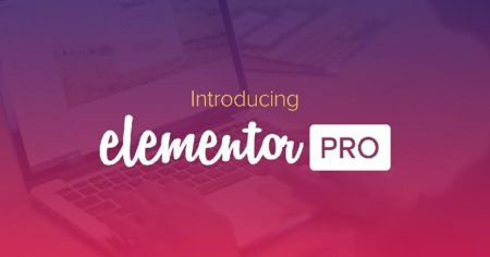 Elementor Pro