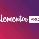 elementor-pro