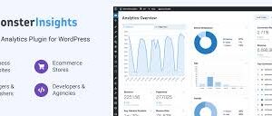 Monsterinsights