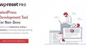 WP Reset pro